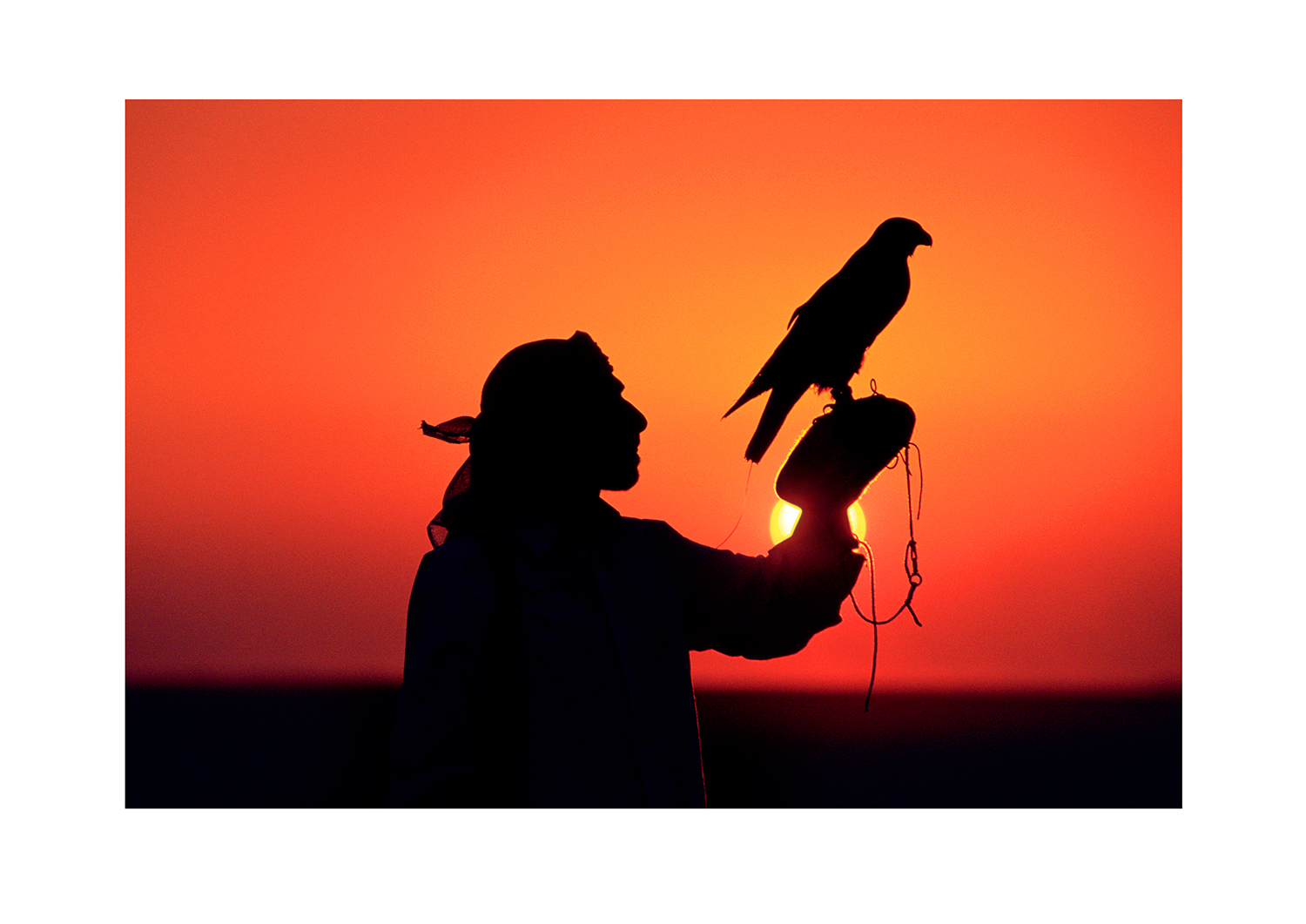 #38 Man with bird - Dubai